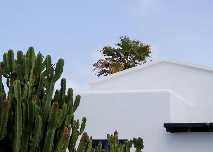 Panzió En Lanzarote Afrika Zen