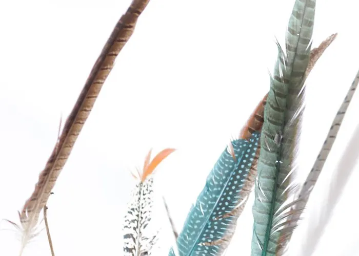 B&B En Lanzarote Afrika Zen *